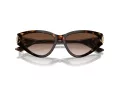 Jimmy Choo Aurinkolasit JC 5019 500213