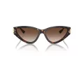 Jimmy Choo Aurinkolasit JC 5019 500213