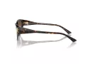 Jimmy Choo Aurinkolasit JC 5019 500213