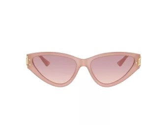 Jimmy Choo Aurinkolasit JC 5019 502768