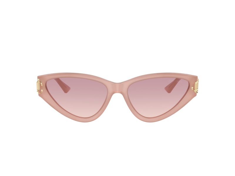 Jimmy Choo Aurinkolasit JC 5019 502768