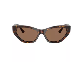 Jimmy Choo Aurinkolasit JC 5022B 500273