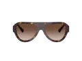 Jimmy Choo Aurinkolasit JC 5027 500213