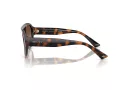 Jimmy Choo Aurinkolasit JC 5027 500213