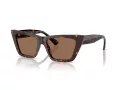 Jimmy Choo Aurinkolasit JC 5028 500273