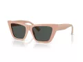 Jimmy Choo Aurinkolasit JC 5028 501987
