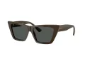 Jimmy Choo Aurinkolasit JC 5028 506087