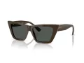 Jimmy Choo Aurinkolasit JC 5028 506087