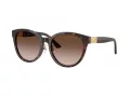 Jimmy Choo Aurinkolasit JC 5032D 50028G