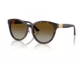 Jimmy Choo Aurinkolasit JC 5032D 5002T5