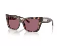 Jimmy Choo Aurinkolasit JC 5041 50701A