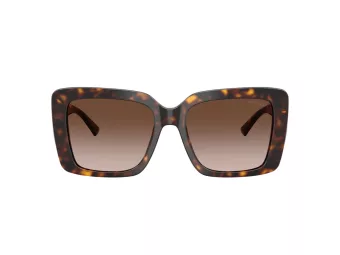 Jimmy Choo Aurinkolasit JC 5042 500213