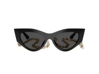 Jimmy Choo Aurinkolasit JC 5045U 500087