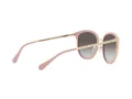 Michael Kors Adrianna Bright Aurinkolasit MK 1099B 3019/8G