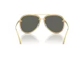 Michael Kors Portofino Aurinkolasit MK 1147 18967P
