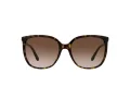 Michael Kors Anaheim Aurinkolasit MK 2137U 3006/13