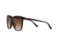 Michael Kors Anaheim Aurinkolasit MK 2137U 3006/13