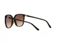 Michael Kors Anaheim Aurinkolasit MK 2137U 3006/13