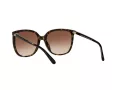 Michael Kors Anaheim Aurinkolasit MK 2137U 3006/13