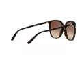 Michael Kors Anaheim Aurinkolasit MK 2137U 3006/13