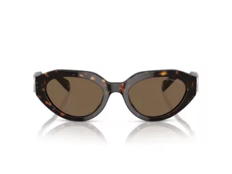 Michael Kors Empire Oval Aurinkolasit MK 0MK2192 328873