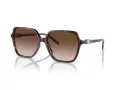 Michael Kors Jasper Aurinkolasit MK 2196U 300613
