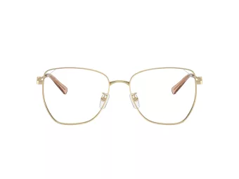 Michael Kors Shanghai Silmalasit MK 3081D 1014