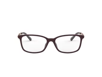 Michael Kors Telluride Silmalasit MK 4060U 3344