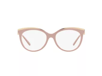 Michael Kors Ajaccio Silmalasit MK 4089U 3111