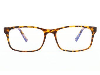 Computer glasses BLF73A