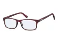 Computer glasses BLF73C