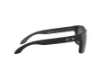 Oakley Holbrook Xs Aurinkolasit 9007 09