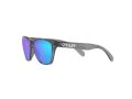 Oakley Frogskins Xxs Aurinkolasit OJ 9009 02