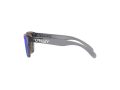 Oakley Frogskins Xxs Aurinkolasit OJ 9009 02