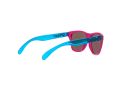 Oakley Frogskins Xxs Aurinkolasit OJ 9009 04