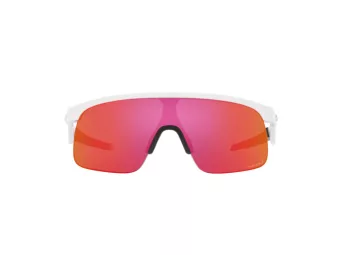 Oakley Resistor Aurinkolasit OJ 9010 04