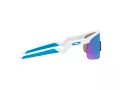 Oakley Resistor Aurinkolasit OJ 9010 07