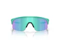 Oakley Resistor Aurinkolasit OJ 9010 19