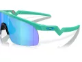 Oakley Resistor Aurinkolasit OJ 9010 19