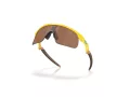 Oakley Resistor Aurinkolasit OJ 9010 28