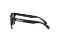 Oakley Frogskins Aurinkolasit OO 9013 24-306