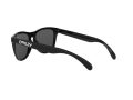 Oakley Frogskins Aurinkolasit OO 9013 C4
