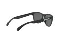 Oakley Frogskins Aurinkolasit OO 9013 F7