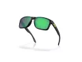 Oakley Holbrook Aurinkolasit OO 9102 AI