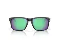 Oakley Holbrook Aurinkolasit OO 9102 AI