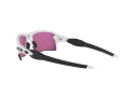 Oakley Flak 2.0 Xl Aurinkolasit OO 9188 03