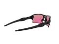 Oakley Flak 2.0 Xl Aurinkolasit OO 9188 05