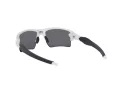 Oakley Flak 2.0 Xl Aurinkolasit OO 9188 81
