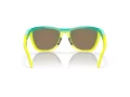 Oakley Frogskins Hybrid Aurinkolasit OO 9289 02