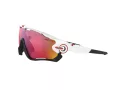Oakley Jawbreaker Aurinkolasit OO 9290 05